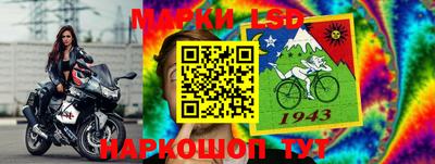 прущие грибы Ачхой-Мартан