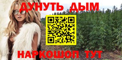 ешки Бердск
