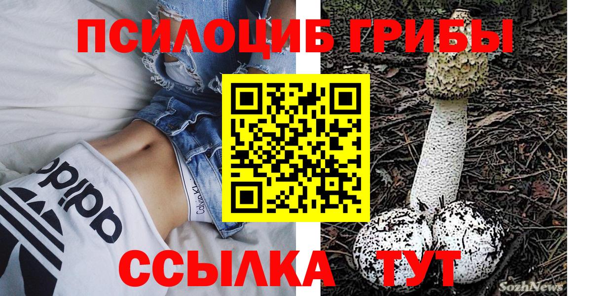 Омск  Псилоцибиновые грибы MAGIC MUSHROOMS  что такое   Вход с VPN  Галлюциногенные грибы Psilocybe 